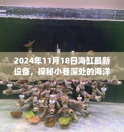 探秘小巷深处的海洋秘境，揭秘海缸最新设备悉数登场，引领海洋生态体验新纪元（2024年海缸设备报道）