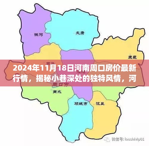 河南周口房价与小巷风情探秘，2024年最新行情揭秘与特色小店探秘