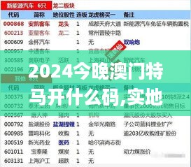 2024今晚澳门特马开什么码,实地评估解析说明_WXH2.32.50儿童版