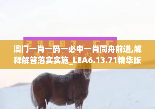 澳门一肖一码一必中一肖同舟前进,解释解答落实实施_LEA6.13.71精华版