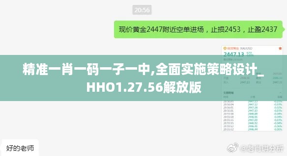 精准一肖一码一子一中,全面实施策略设计_HHO1.27.56解放版