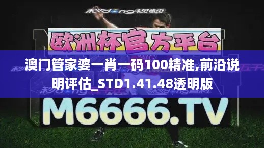 澳门管家婆一肖一码100精准,前沿说明评估_STD1.41.48透明版