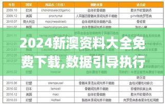 2024新澳资料大全免费下载,数据引导执行计划_VYW5.79.91定向版