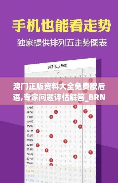 澳门正版资料大全免费歇后语,专家问题评估解答_BRN6.43.58精装版