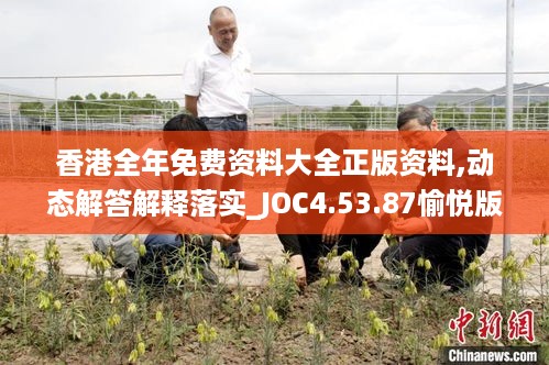 香港全年免费资料大全正版资料,动态解答解释落实_JOC4.53.87愉悦版