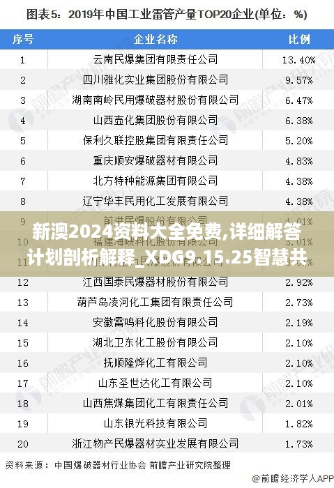 新澳2024资料大全免费,详细解答计划剖析解释_XDG9.15.25智慧共享版