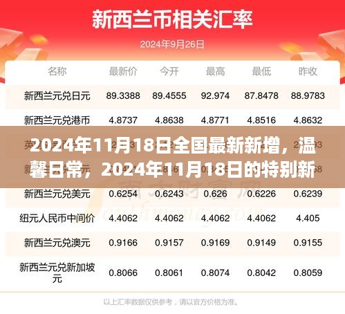 2024年11月18日全国最新温馨日常特别新增内容