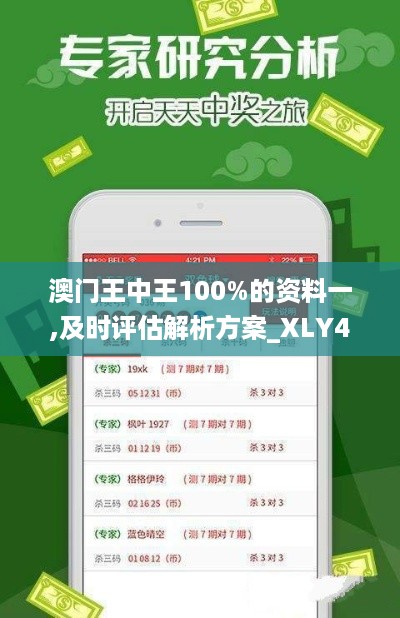 澳门王中王100%的资料一,及时评估解析方案_XLY4.45.94原创性版