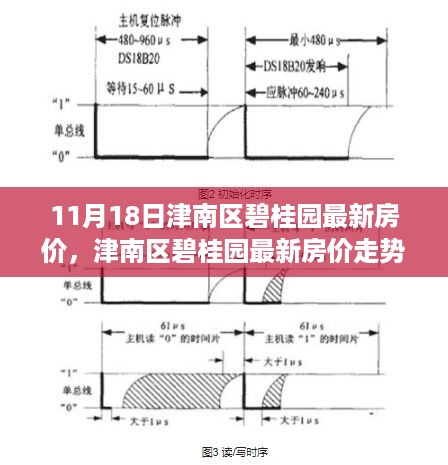 津南区碧桂园最新房价走势深度解析与观点立场分享