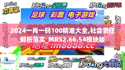 2024一肖一码100精准大全,社会责任解析落实_MRS2.66.54模块版