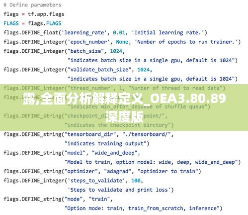 露,全面分析解释定义_OEA3.80.89深度版