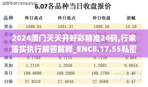 2024澳门天天开好彩精准24码,行家落实执行解答解释_ENC8.17.55私密版