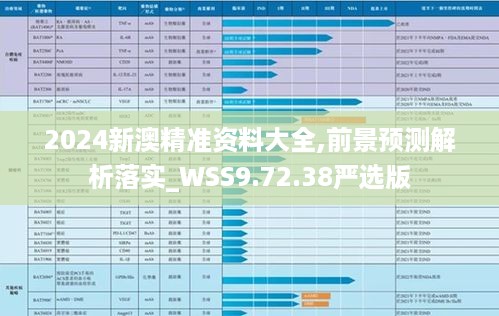 2024新澳精准资料大全,前景预测解析落实_WSS9.72.38严选版