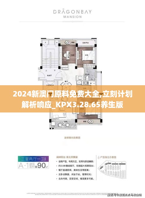 2024新澳门原料免费大全,立刻计划解析响应_KPX3.28.65养生版