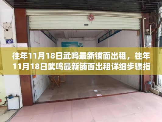 往年11月18日武鸣最新铺面出租信息及出租指南，适合初学者与进阶用户参考