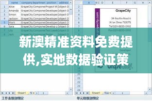 新澳精准资料免费提供,实地数据验证策略_RVN4.62.73盒装版