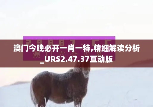 澳门今晚必开一肖一特,精细解读分析_URS2.47.37互动版