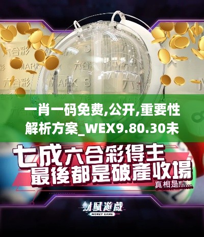 一肖一码免费,公开,重要性解析方案_WEX9.80.30未来版