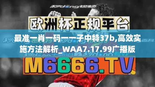 最准一肖一码一一子中特37b,高效实施方法解析_WAA7.17.99广播版