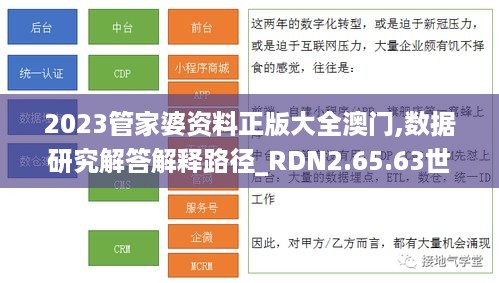 2023管家婆资料正版大全澳门,数据研究解答解释路径_RDN2.65.63世界版