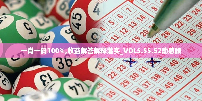 一肖一码100%,收益解答解释落实_VOL5.55.52动感版