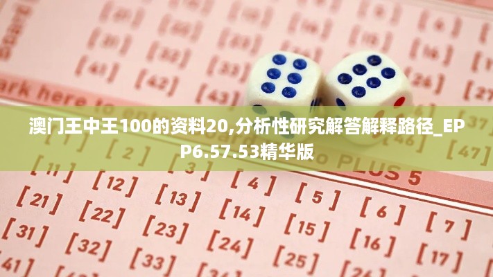 澳门王中王100的资料20,分析性研究解答解释路径_EPP6.57.53精华版