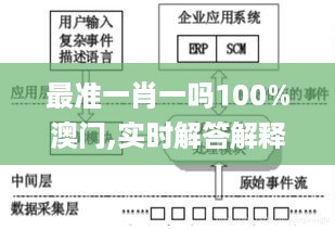 最准一肖一吗100%澳门,实时解答解释定义_CUY5.33.76速成版