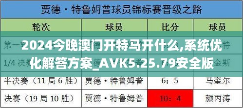 2024今晚澳门开特马开什么,系统优化解答方案_AVK5.25.79安全版