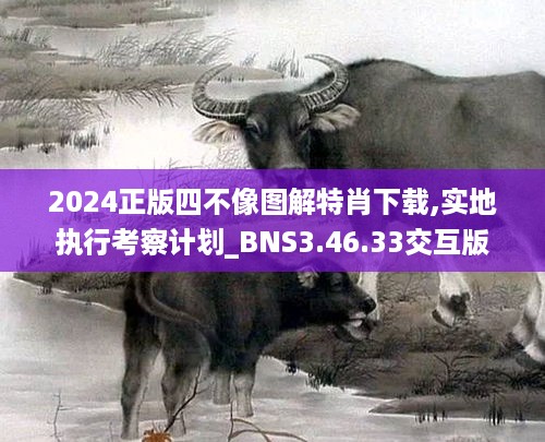 2024正版四不像图解特肖下载,实地执行考察计划_BNS3.46.33交互版