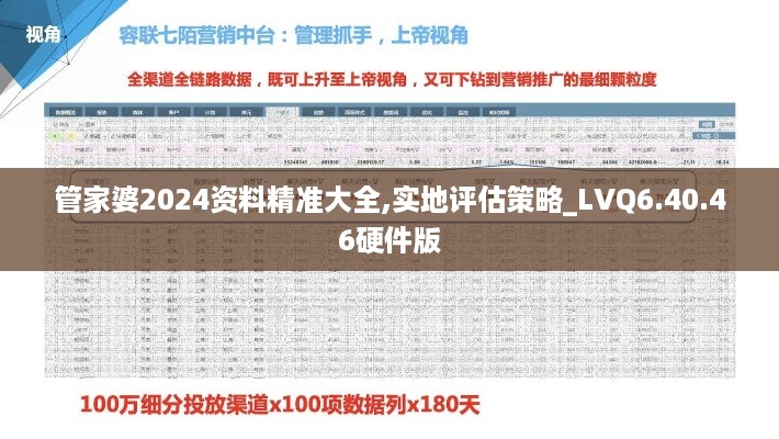 管家婆2024资料精准大全,实地评估策略_LVQ6.40.46硬件版