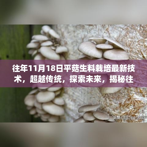 揭秘平菇生料栽培最新技术，开启励志人生之旅的种植革命之路（往年11月18日）