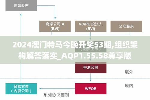 2024澳门特马今晚开奖53期,组织架构解答落实_AQP1.55.58尊享版