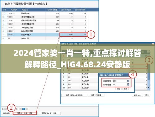 2024管家婆一肖一特,重点探讨解答解释路径_HIG4.68.24安静版