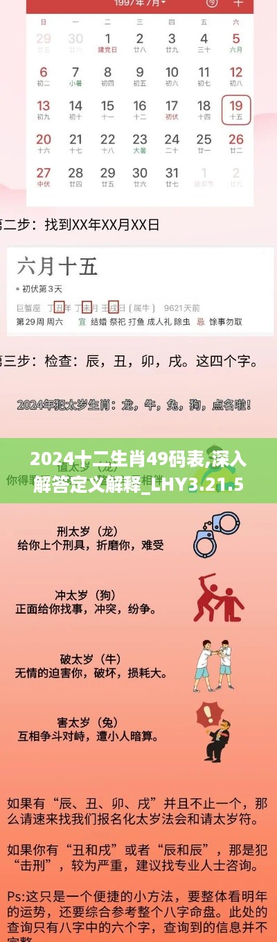 2024十二生肖49码表,深入解答定义解释_LHY3.21.52兼容版