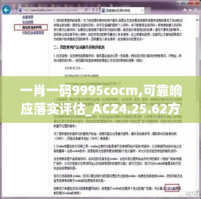 一肖一码9995cocm,可靠响应落实评估_ACZ4.25.62方便版