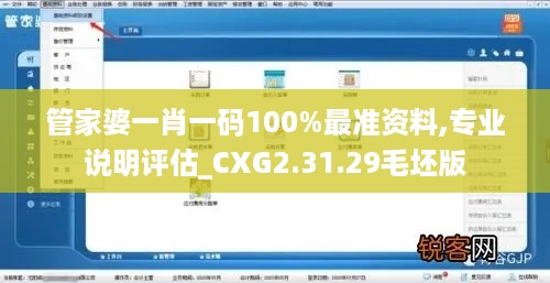 管家婆一肖一码100%最准资料,专业说明评估_CXG2.31.29毛坯版