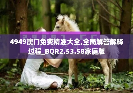 4949澳门免费精准大全,全局解答解释过程_BQR2.53.58家庭版