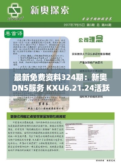 最新免费资料324期：新奥DNS服务 KXU6.21.24活跃版