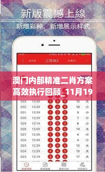 澳门内部精准二肖方案高效执行回顾_11月19日_LQG9.66.48探险版