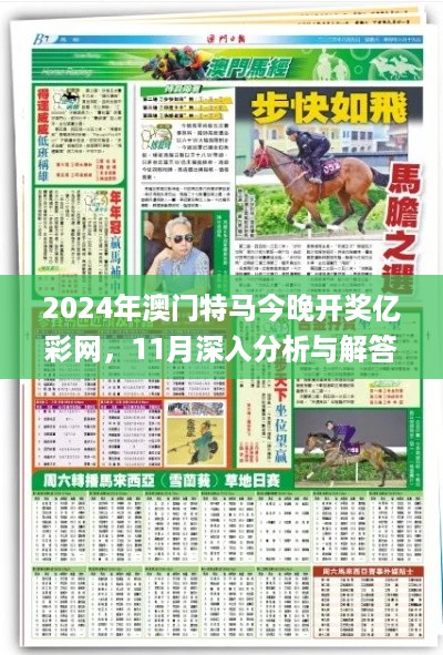 2024年澳门特马今晚开奖亿彩网，11月深入分析与解答路径_ZRA3.54.65炼气境