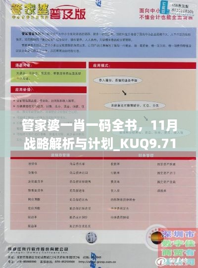 管家婆一肖一码全书，11月战略解析与计划_KUQ9.71.82经典版