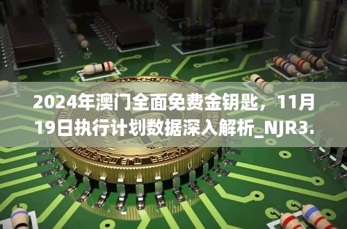 2024年澳门全面免费金钥匙，11月19日执行计划数据深入解析_NJR3.56.95生态版