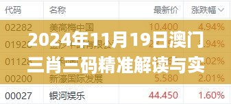 2024年11月19日澳门三肖三码精准解读与实施_PZP4.67.79智慧版