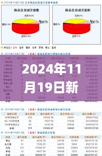 2024年11月19日新澳天天开奖数据详解（600Tk）_TYW3.17.38私人版