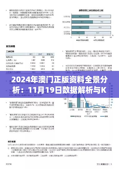 2024年澳门正版资料全景分析：11月19日数据解析与KPP3.65.81炼骨境设计导向