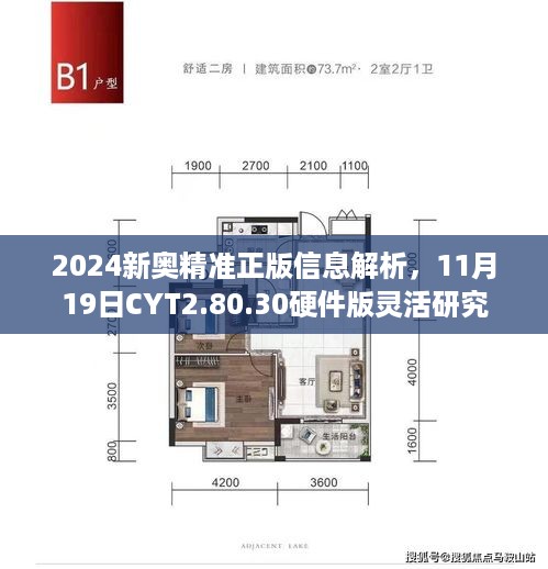 2024新奥精准正版信息解析，11月19日CYT2.80.30硬件版灵活研究