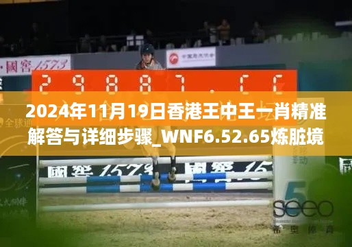 2024年11月19日香港王中王一肖精准解答与详细步骤_WNF6.52.65炼脏境