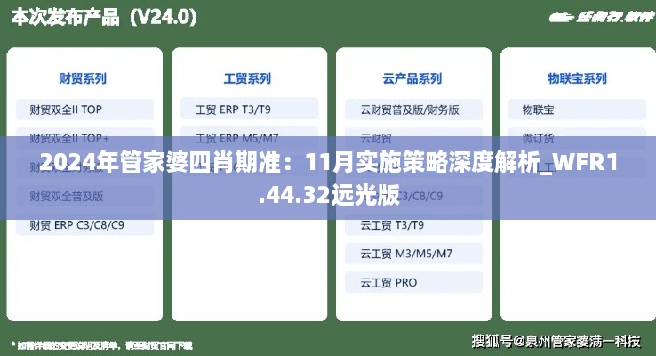 2024年管家婆四肖期准：11月实施策略深度解析_WFR1.44.32远光版