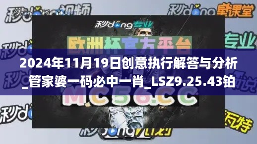 2024年11月19日创意执行解答与分析_管家婆一码必中一肖_LSZ9.25.43铂金版