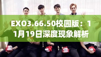 EXO3.66.50校园版：11月19日深度现象解析及新奥免费精准资料